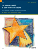 Ein Stern strahlt in der dunklen Nacht