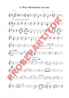 David+Goliat - Violine 1-2