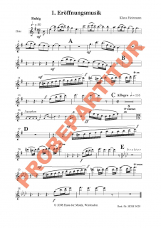 Zachäus Zastermann - (Flöte) Zachäus Zastermann - (Flöte)