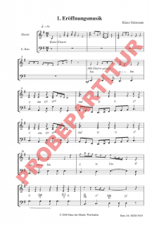 Zachäus Zastermann - (Gitarre/Bassgitarre)