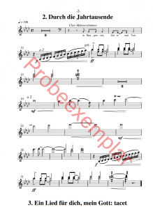 Israel Schalom - (Violine 1+2)