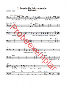 Israel Schalom - (Gitarre / Bassgitarre)