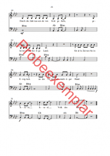 Israel Schalom - (Gitarre / Bassgitarre)