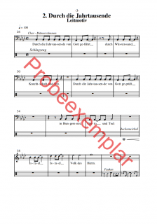 Israel Schalom - (Schlagzeug)