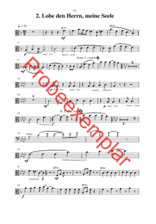 David - König, Sänger und Poet - (Viola)