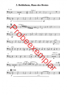 David - König, Sänger und Poet - (Kontrabass)