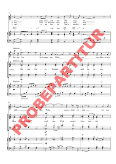 Wenn das Weihnachtslicht unser Herz berührt (GCh)