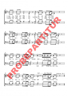 Lichterzeit - Freudenzeit (GCh)