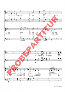 Gelobt sei, der da kommt (GCh)