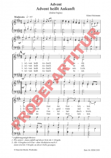 Advent heißt Ankunft (SAM)