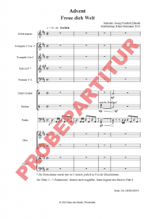 Freue dich Welt für Chor und Orchester (GCh)