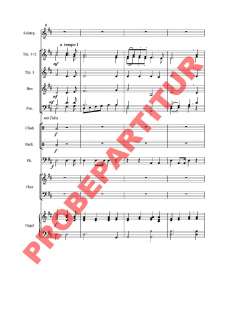 Freue dich Welt für Chor und Orchester (GCh)