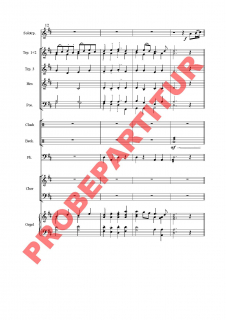 Freue dich Welt für Chor und Orchester (GCh)