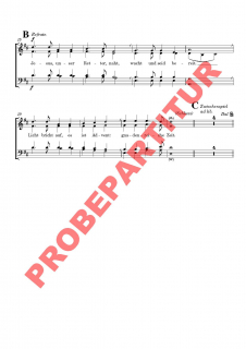 Jesus, unser Retter, naht (GCh)