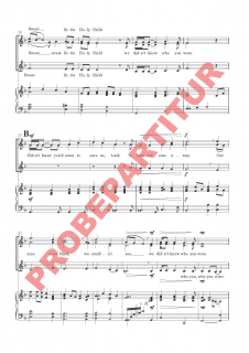 Sweet Little Jesus Boy (Partitur FCh)