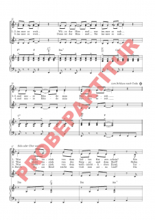 Wäre die Freude nur immer so groß (Partitur FCh)