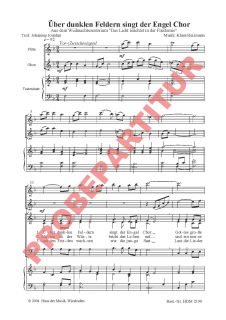 über dunklen Feldern (SAM)