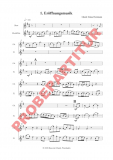 Eine zündende Idee - (Blockflöte / Oboe)