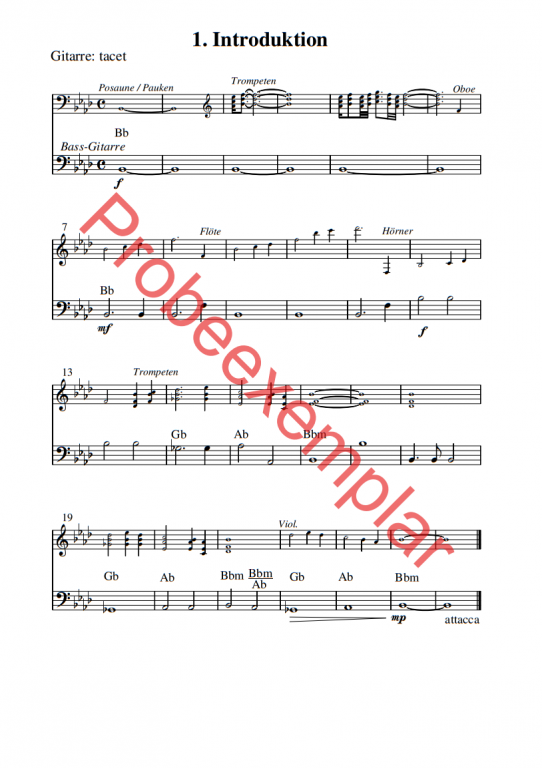 Israel Schalom - (Gitarre / Bassgitarre)