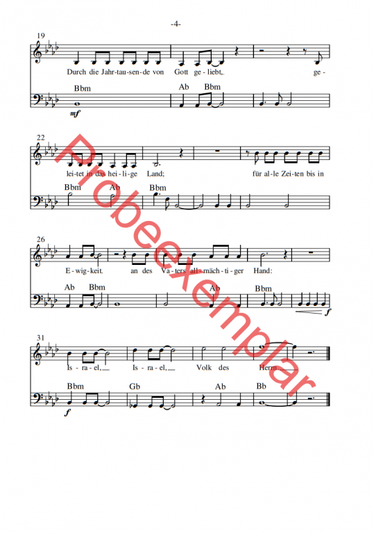 Israel Schalom - (Gitarre / Bassgitarre)