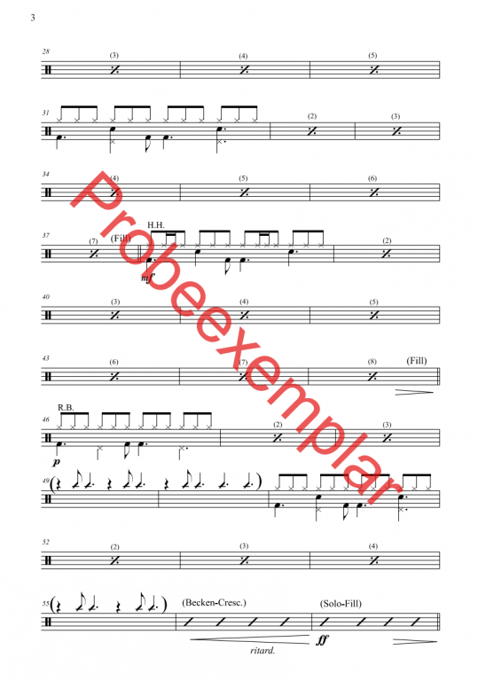 David - König, Sänger und Poet - (Schlagzeug)