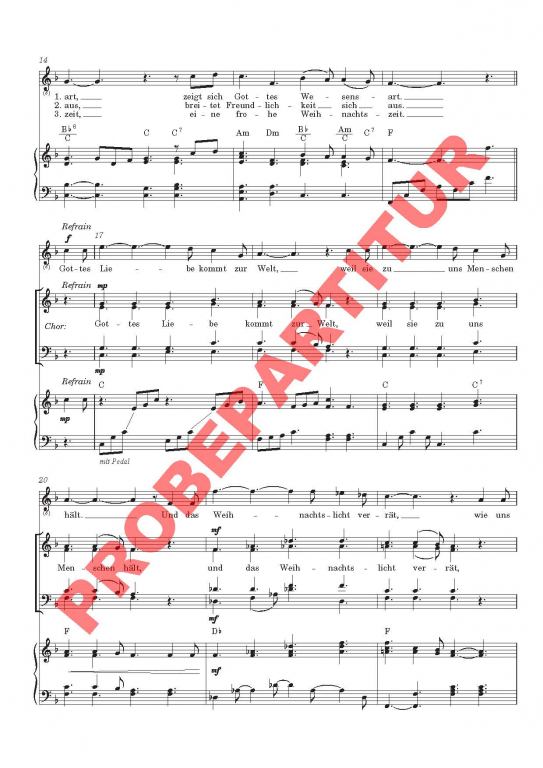 Wenn das Weihnachtslicht unser Herz berührt (GCh)