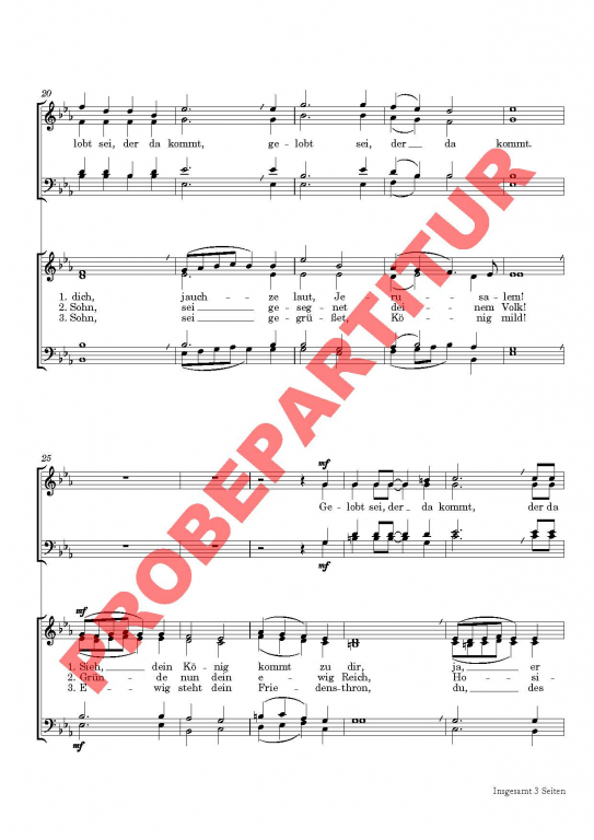 Gelobt sei, der da kommt (GCh)