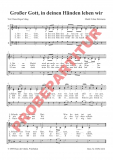 Großer Gott, in deinen Händen (Chorpartitur)