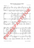 Hast du Töne, hast du Lieder (GCh)