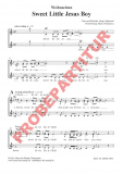 Sweet Little Jesus Boy (Chorpartitur FCh)