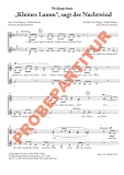 Kleines Lamm, sagt der Nachtwind (Chorpartitur FCh)
