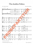 über dunklen Feldern FCh Chorpartitur